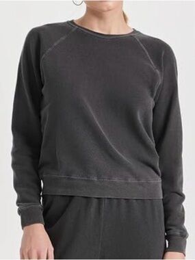 The Great The Shrunken Sweatshirt in Washed Black size 1